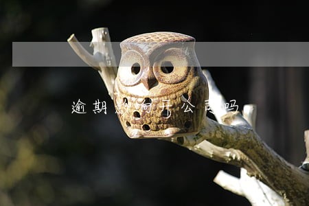 逾期影响开公司吗 逾期影响开公司吗