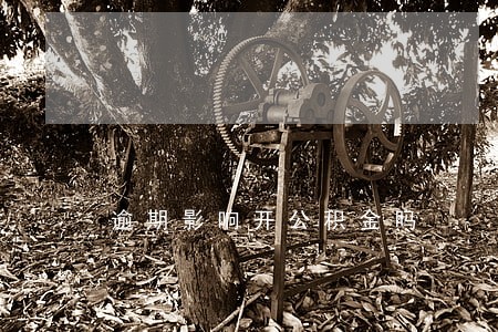 逾期影响开公积金吗 逾期影响开公积金吗