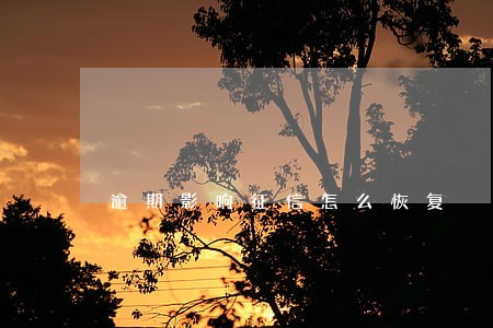 逾期影响征信怎么恢复 逾期影响征信怎么恢复