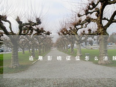 逾期影响征信怎么消除 逾期影响征信怎么消除
