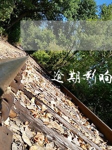 逾期影响征信的后果 逾期影响征信的后果