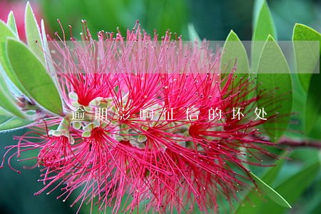 逾期影响征信的坏处 逾期影响征信的坏处