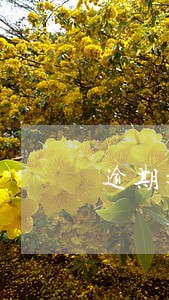 逾期影响征信记录么 逾期影响征信记录么