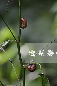 逾期影响快贷 逾期影响快贷