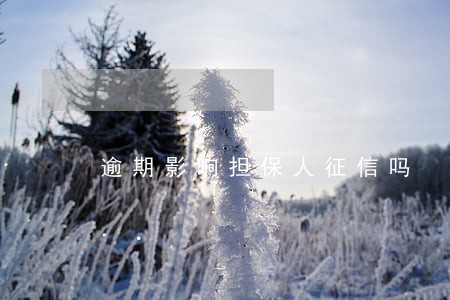 逾期影响担保人征信吗 逾期影响担保人征信吗