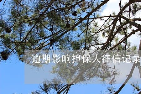 逾期影响担保人征信记录 逾期影响担保人征信记录