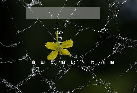 逾期影响招商提额吗 逾期影响招商提额吗