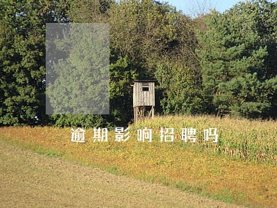 逾期影响招聘吗 逾期影响招聘吗