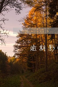 逾期影响无犯罪证明公证吗 逾期影响无犯罪证明公证吗