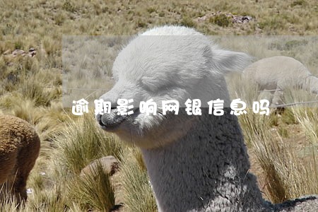 逾期影响网银信息吗 逾期影响网银信息吗
