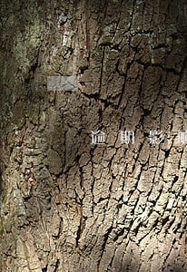 逾期影响考教师编制吗 逾期影响考教师编制吗