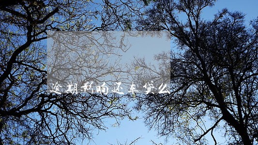 逾期影响还车贷么 逾期影响还车贷么