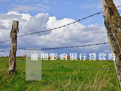 逾期影响银行贷款吗 逾期影响银行贷款吗
