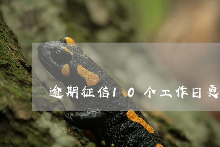 逾期征信10个工作日更新 逾期征信10个工作日更新