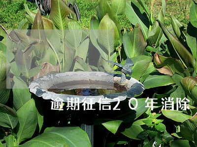 逾期征信20年消除 逾期征信20年消除