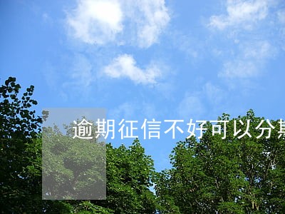 逾期征信不好可以分期买车吗