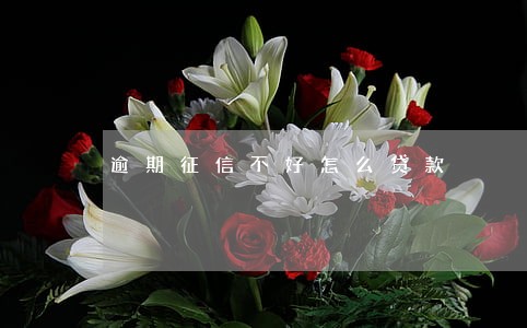 逾期征信不好怎么贷款 逾期征信不好怎么贷款