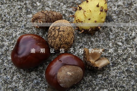 逾期征信不好的人可以买保险吗 逾期征信不好的人可以买保险吗
