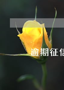 逾期征信乱了怎么恢复 逾期征信乱了怎么恢复