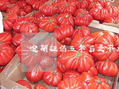 逾期征信五年后是不是变白户
