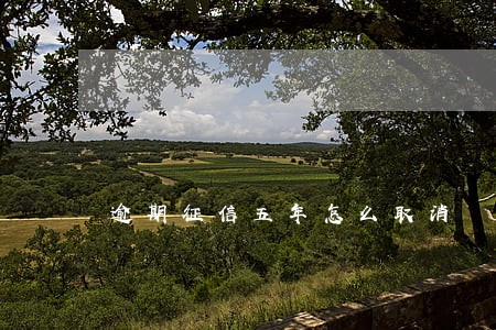 逾期征信五年怎么取消 逾期征信五年怎么取消