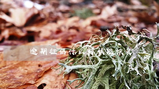 逾期征信什么时候能恢复 逾期征信什么时候能恢复