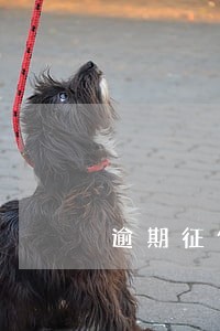 逾期征信会恢复吗 逾期征信会恢复吗