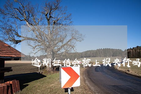 逾期征信会被上报央行吗