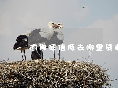 逾期征信低去哪里贷款 逾期征信低去哪里贷款