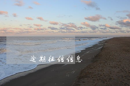 逾期征信信息 逾期征信信息
