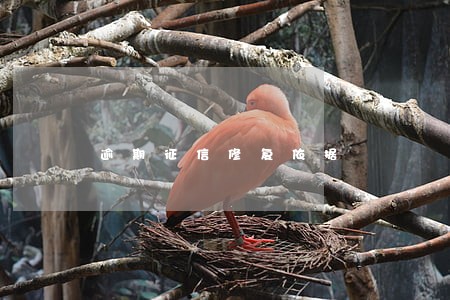 逾期征信修复依据 逾期征信修复依据