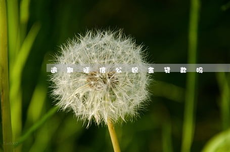 逾期征信公积金贷款吗 逾期征信公积金贷款吗