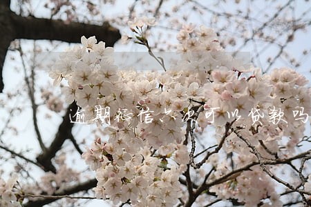 逾期征信六次可以贷款吗 逾期征信六次可以贷款吗