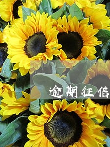 逾期征信删除记录怎么办 逾期征信删除记录怎么办