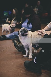 逾期征信删除记录查询 逾期征信删除记录查询