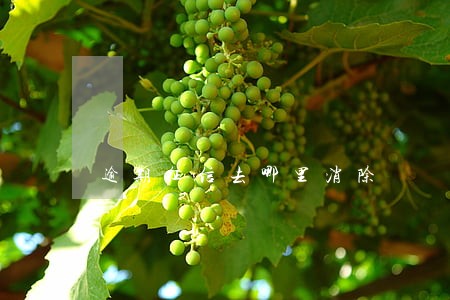 逾期征信去哪里消除 逾期征信去哪里消除