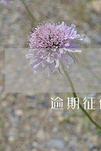 逾期征信可以修复吗 逾期征信可以修复吗