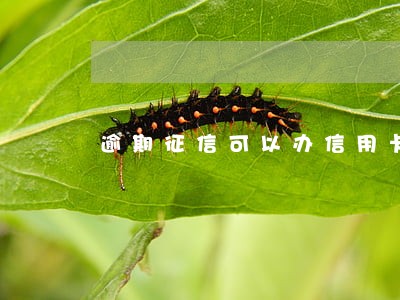 逾期征信可以办信用卡 逾期征信可以办信用卡