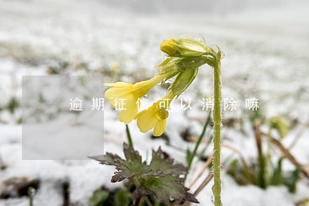 逾期征信可以消除嘛 逾期征信可以消除嘛