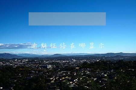 逾期征信在哪显示