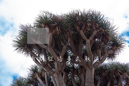 逾期征信多久取消 逾期征信多久取消