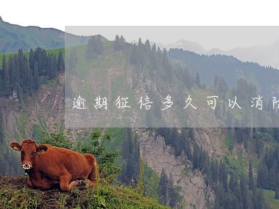 逾期征信多久可以消除 逾期征信多久可以消除
