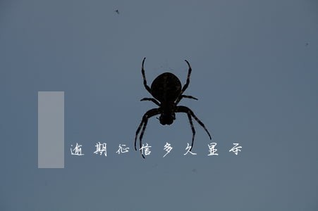 逾期征信多久显示 逾期征信多久显示