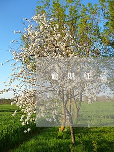 逾期征信多久能恢复 逾期征信多久能恢复