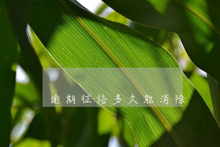 逾期征信多久能消除 逾期征信多久能消除