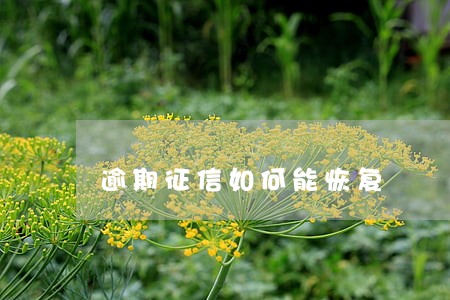 逾期征信如何能恢复 逾期征信如何能恢复