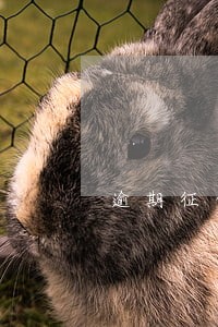 逾期征信差半年满5年 逾期征信差半年满5年
