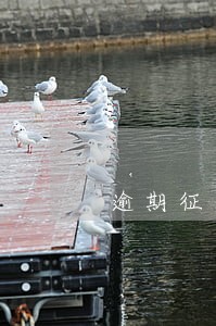 逾期征信影响孩子 逾期征信影响孩子
