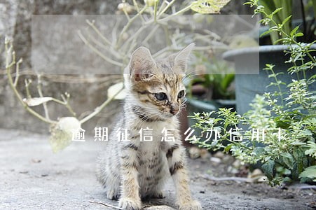 逾期征信怎么办信用卡 逾期征信怎么办信用卡