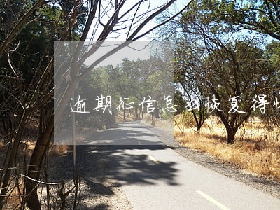 逾期征信怎么恢复得快 逾期征信怎么恢复得快